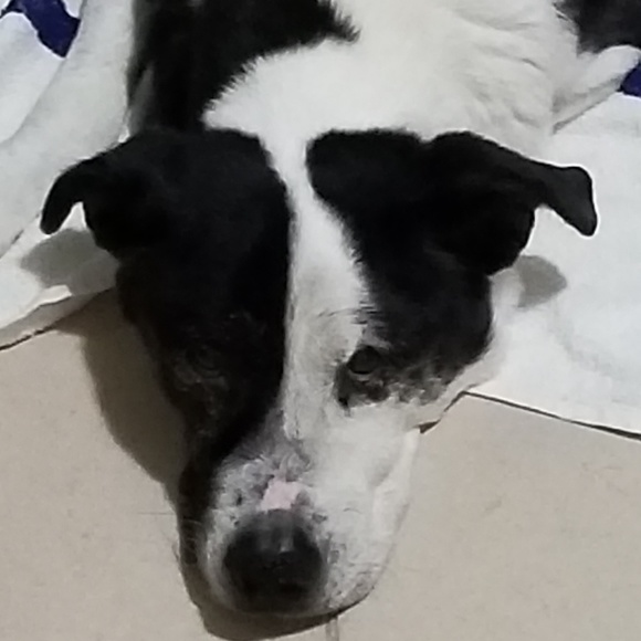 Meet your Posher, Katie - Picture 2 of 2